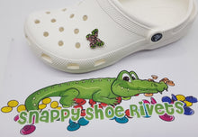 Load image into Gallery viewer, Pink and green butterfly shoe charm
